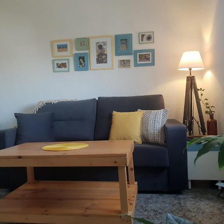 Bonito Y Coqueto Apartamento Cordova Esterno foto